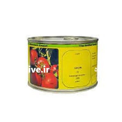 بذر گوجه فرنگی کارون در گروه خرید و فروش بذر گوجه در یکمیوه -عکس1