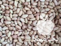 فروش بادام بذری گلی در مینودشت در گروه خرید و فروش بادام در یکمیوه -عکس1