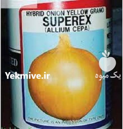 بذر پیاز تاکی در کرمان  در گروه خرید و فروش بذر پیاز در یکمیوه -عکس1