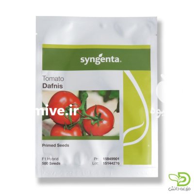 بذر گوجه فرنگی دافنیس در گروه خرید و فروش بذر گوجه در یکمیوه -عکس1