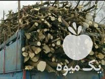 خرید انواع چوب آلات باغی با بالاترین قیمت در گروه خرید و فروش انواع چوب در یکمیوه -عکس1