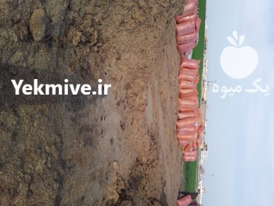 کاه کلش گندم کلش برنج در گنبد کاووس در گروه نهاده ها دام و طیور در یکمیوه -عکس2