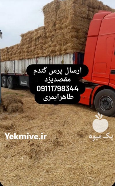 کاه کلش گندم کلش برنج در گنبد کاووس در گروه نهاده ها دام و طیور در یکمیوه -عکس4