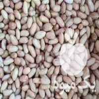 فروش بادام بذری گلی در مینودشت در گروه خرید و فروش بادام در یکمیوه