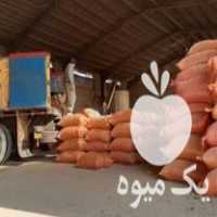 قیمت خرید بادام بذری گلی و ترکیه در گروه خرید و فروش بادام در یکمیوه