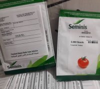 بذر گوجه فرنگی برنتا در تهران در گروه خرید و فروش بذر گوجه در یکمیوه