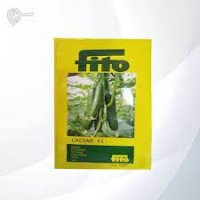 بذر خیار گلخانه ای کادیار در رفسنجان در گروه خرید و فروش بذر خیار در یکمیوه