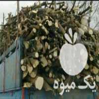 خرید انواع چوب آلات باغی با بالاترین قیمت در گروه خرید و فروش انواع چوب در یکمیوه