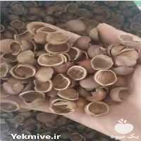 قیمت خرید پوست فندق در گروه خرید و فروش فندق در یکمیوه