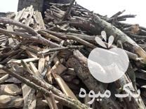 فروش زغال کبابی و قلیانی درجه یک در آمل در گروه خرید و فروش زغال در یکمیوه -عکس1