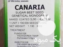 فروش بذر چغندر قند و لوازم در گروه خرید و فروش بذر چغندر در یکمیوه -عکس1