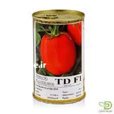 بذر گوجه فرنگی تی دی در گروه خرید و فروش بذر گوجه در یکمیوه -عکس1