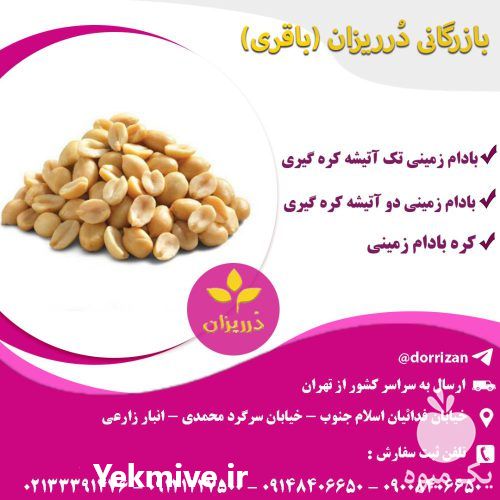 فروش بادام زمینی هندی تک آتیشه و دو آتیشه کره گیری در گروه خرید و فروش بادام در یکمیوه -عکس1