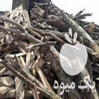 فروش زغال کبابی و قلیانی درجه یک در آمل در گروه خرید و فروش زغال در یکمیوه