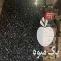 فروش زغال لیمو و چینی در تهران در گروه خرید و فروش زغال در یکمیوه