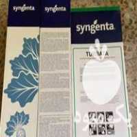 فروش انواع بذر چغندر اصلی با قیمت مناسب در نهاوند در گروه خرید و فروش بذر چغندر در یکمیوه