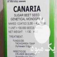 فروش بذر چغندر قند و لوازم در گروه خرید و فروش بذر چغندر در یکمیوه