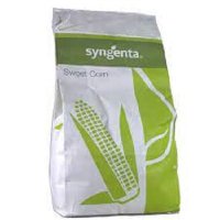 بذر ذرت اکسن چوئیت در شیراز در گروه خرید و فروش بذر ذرت در یکمیوه