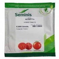 بذر گوجه فرنگی برنتا در خلخال در گروه خرید و فروش بذر گوجه در یکمیوه