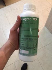 سم علفکش لنتگران در گروه خرید و فروش انواع سم در یکمیوه