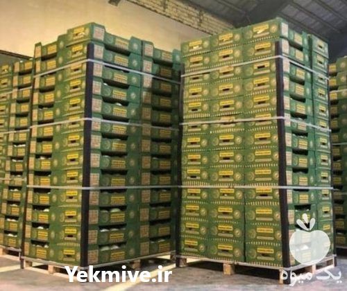 قیمت خرید نبشی پلاستیکی در گروه انواع بسته بندی محصول در یکمیوه -عکس1