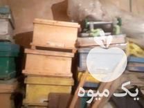 فروش کندو طبق قاب در قزوین در گروه خرید و فروش زنبورعسل در یکمیوه -عکس1