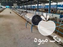 قیمت خرید فروس کود دامی در اسدآباد در گروه خرید و فروش کود دامی در یکمیوه -عکس1
