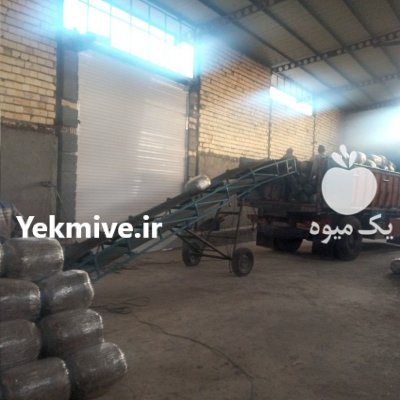 ذرت علوفه بسته بندی و فله در گروه خرید و فروش علوفه در یکمیوه -عکس1