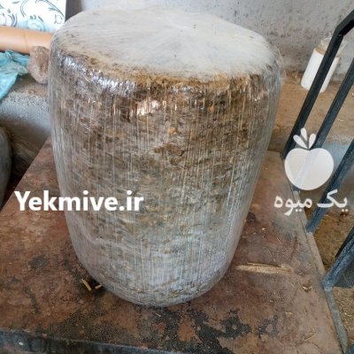 ذرت علوفه بسته بندی و فله در گروه خرید و فروش علوفه در یکمیوه -عکس2