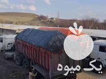 خرید و انواع کود مرغ در قزوین در گروه خرید و فروش کود مرغی در یکمیوه -عکس1