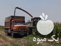 قیمت خرید ذرت علوفه‌ای بسته بندی در بندرعباس در گروه خرید و فروش علوفه در یکمیوه -عکس1