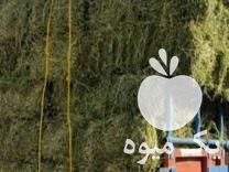 قیمت خرید عمده جو و یونجه و ذرت و کاه گندم و سویا در باقرشهر در گروه خرید و فروش سویا در یکمیوه -عکس1