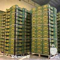 قیمت خرید نبشی پلاستیکی در گروه انواع بسته بندی محصول در یکمیوه