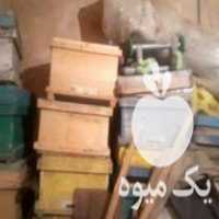 فروش کندو طبق قاب در قزوین در گروه خرید و فروش زنبورعسل در یکمیوه