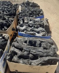 زغال انگور کوره سنتی خشک خشک در نوشین در گروه خرید و فروش زغال در یکمیوه