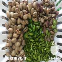 قیمت خرید خلال پسته در گروه خرید و فروش پسته در یکمیوه