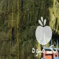 قیمت خرید عمده جو و یونجه و ذرت و کاه گندم و سویا در باقرشهر در گروه خرید و فروش سویا در یکمیوه