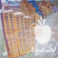 فروش پالت چوبی پالت پلاستیکی در کمال شهر در گروه خرید و فروش پالت در یکمیوه