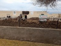 کود حیوانی در چناران در گروه خرید و فروش کود حیوانی در یکمیوه