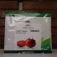 بذر گوجه فرنگی بریویو در گروه خرید و فروش بذر گوجه در یکمیوه