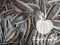 قیمت خرید انواع بذر آفتابگردان هیبریدی وایرانی در کرمانشاه در گروه خرید و فروش انواع تخمه در یکمیوه -عکس1
