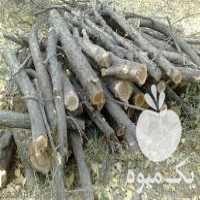خرید و فروش هیزم درویش در شهریار در گروه خرید و فروش هیزم در یکمیوه