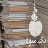 قیمت خرید کارتن تخم مرغی در مشهد در گروه خرید و فروش انواع بسته بندی کاغذی در یکمیوه