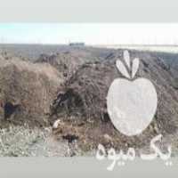 فروش کودحیوانی مرغی کودپاش در روانسر در گروه خرید و فروش کود حیوانی در یکمیوه