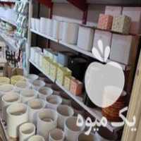 آگهی مشابه فروش گلدان سفالی سرامیک در مشهد در گروه انواع محصولات خاک و تغذیه در یکمیوه