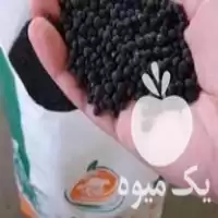 فروش کود آلی گرانوله 50 کیلوی دینور در کرمانشاه در گروه خرید و فروش انواع کود کشاورزی در یکمیوه