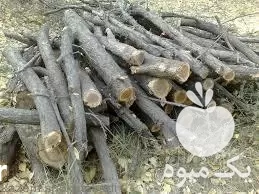 خرید و فروش هیزم درویش در گروه خرید و فروش انواع چوب در یکمیوه -عکس1