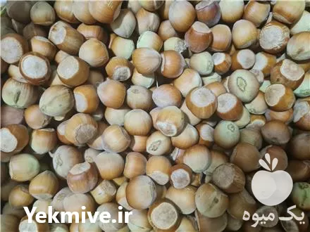 قیمت خرید خلال قزوین در گروه خرید و فروش بادام در یکمیوه -عکس1