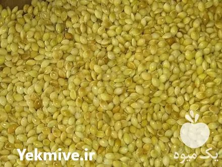 فروش ارزن ریز و درشت در گروه خرید و فروش غلات و حبوبات در یکمیوه -عکس1