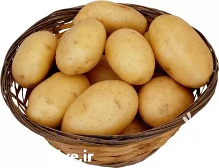 قیمت خرید سیب زمینی در همدان در گروه خرید و فروش سیب زمینی در یکمیوه -عکس1